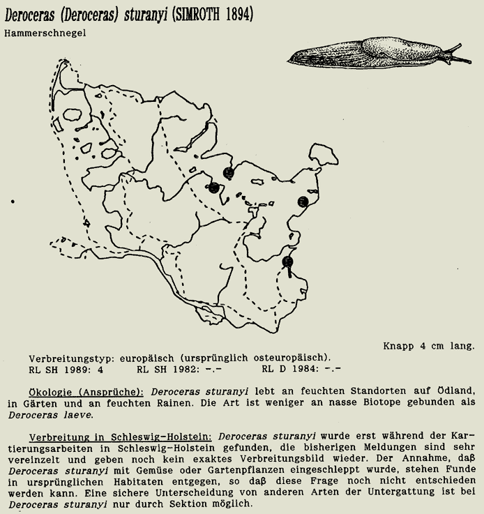 map c LANU-Schleswig-Holstein       drawing  c Projektgruppe Molluskenkartierung 