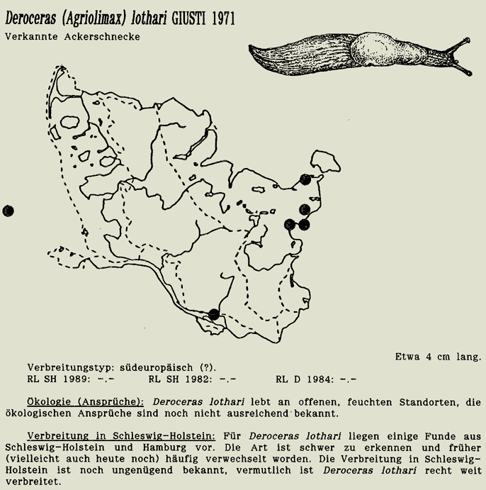 map c LANU-Schleswig-Holstein       drawing  c Projektgruppe Molluskenkartierung 