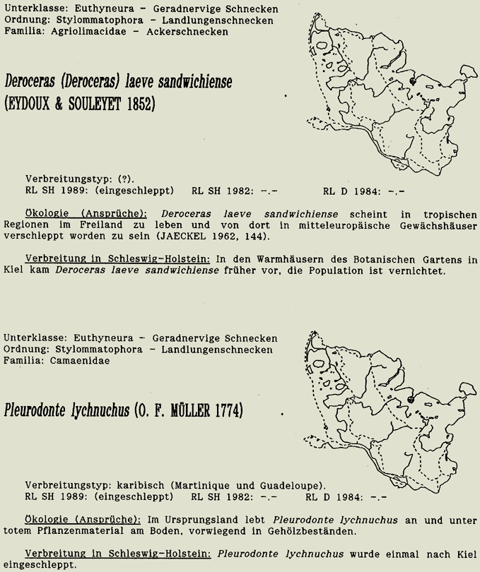 map c LANU-Schleswig-Holstein       drawing  c Projektgruppe Molluskenkartierung 