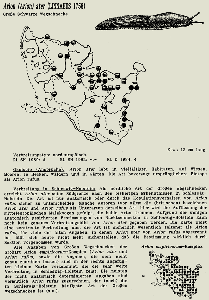 map c LANU-Schleswig-Holstein       drawing  c Projektgruppe Molluskenkartierung 