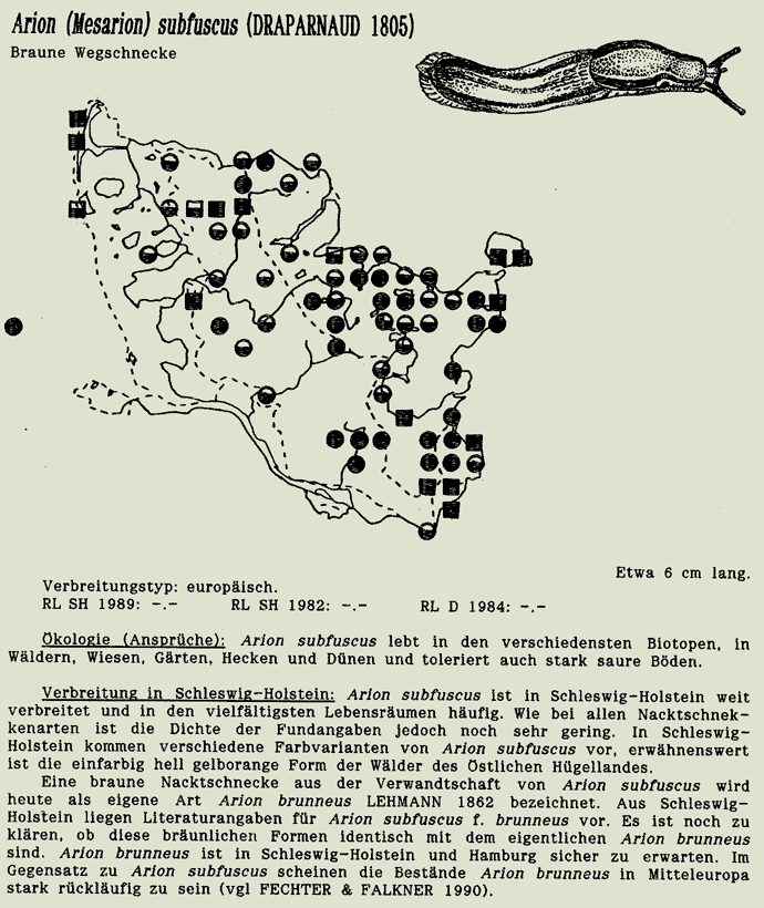 map c LANU-Schleswig-Holstein       drawing  c Projektgruppe Molluskenkartierung 