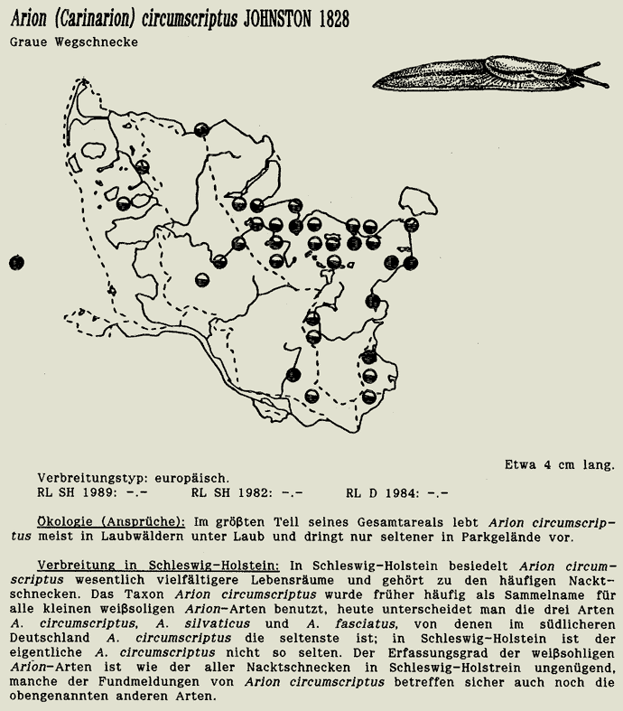 map c LANU-Schleswig-Holstein       drawing  c Projektgruppe Molluskenkartierung 