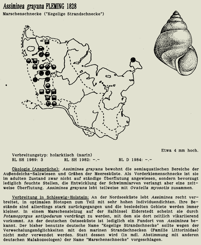 map c LANU-Schleswig-Holstein       drawing  c Projektgruppe Molluskenkartierung 