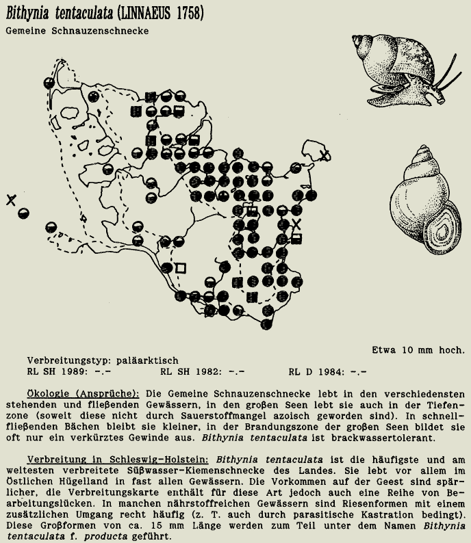 map c LANU-Schleswig-Holstein       drawing  c Projektgruppe Molluskenkartierung 