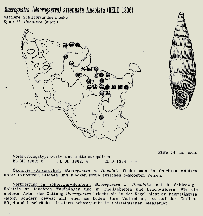 map c LANU-Schleswig-Holstein       drawing  c Projektgruppe Molluskenkartierung 