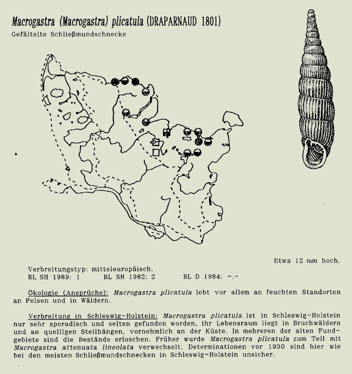 map c LANU-Schleswig-Holstein       drawing  c Projektgruppe Molluskenkartierung 