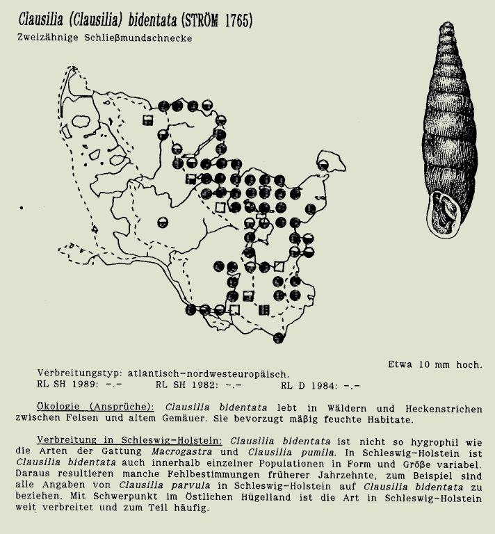 map c LANU-Schleswig-Holstein       drawing  c Projektgruppe Molluskenkartierung 