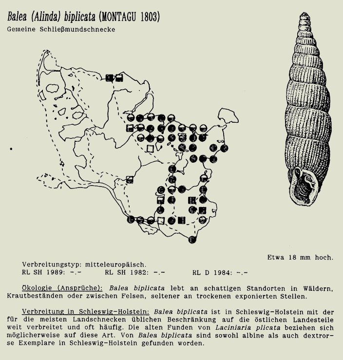 map c LANU-Schleswig-Holstein       drawing  c Projektgruppe Molluskenkartierung 