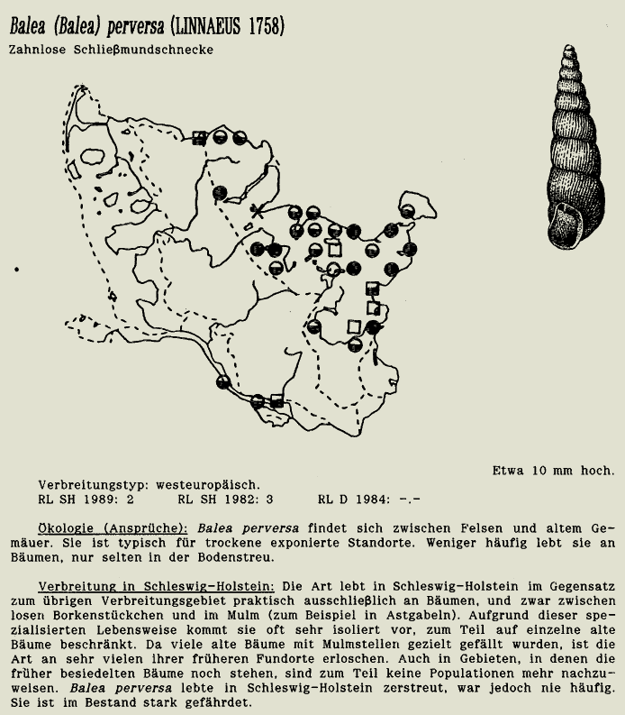 map c LANU-Schleswig-Holstein       drawing  c Projektgruppe Molluskenkartierung 