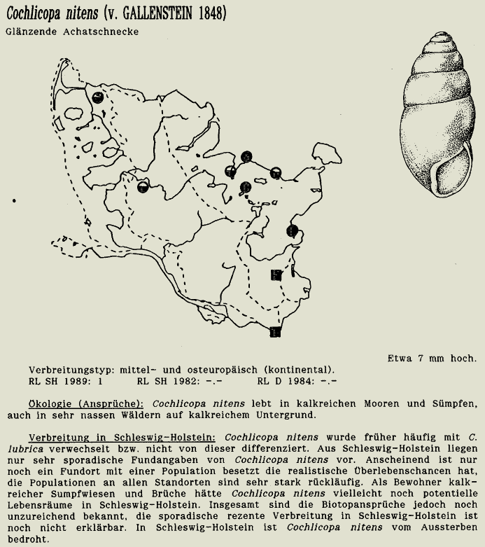 map c LANU-Schleswig-Holstein       drawing  c Projektgruppe Molluskenkartierung 