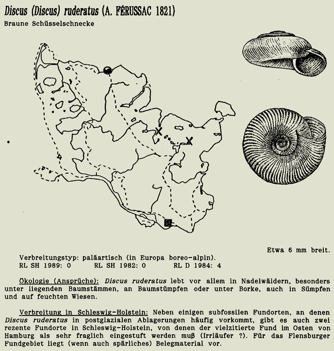 map c LANU-Schleswig-Holstein       drawing  c Projektgruppe Molluskenkartierung 