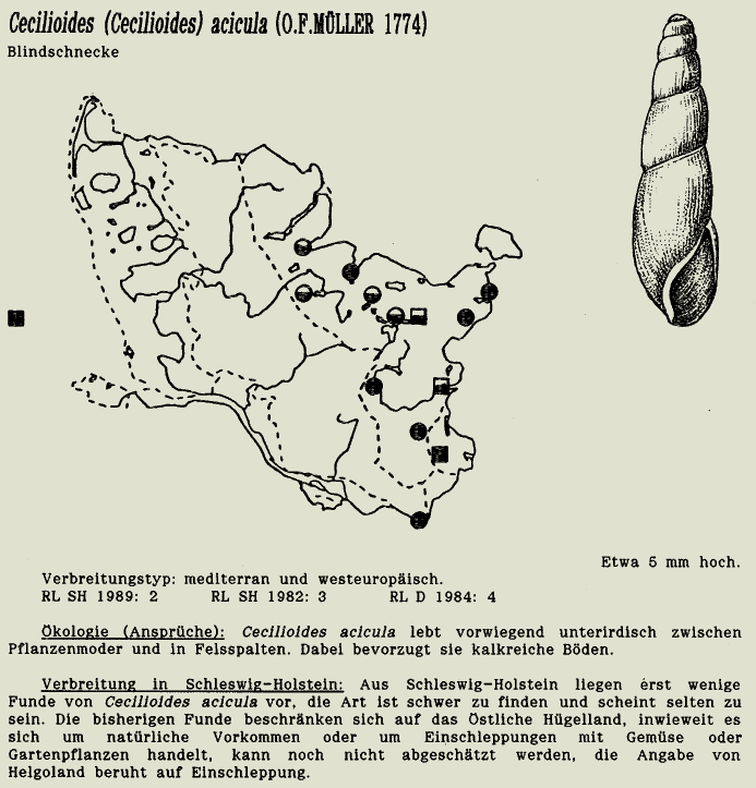 map c LANU-Schleswig-Holstein       drawing  c Projektgruppe Molluskenkartierung 