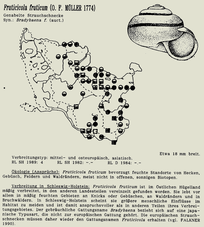 map c LANU-Schleswig-Holstein       drawing  c Projektgruppe Molluskenkartierung 