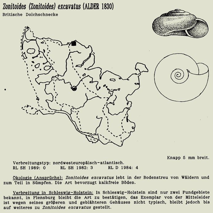 map c LANU-Schleswig-Holstein       drawing  c Projektgruppe Molluskenkartierung 