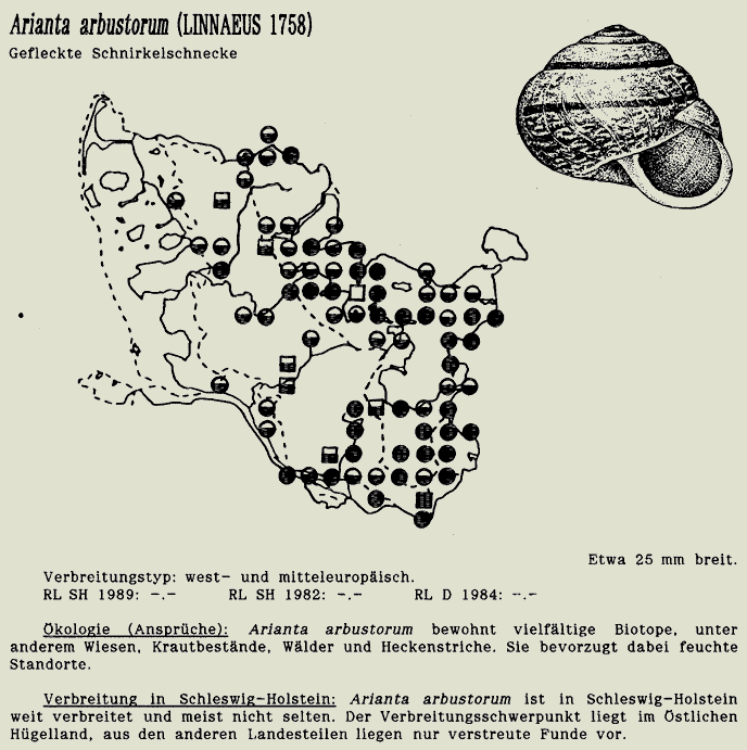 map c LANU-Schleswig-Holstein       drawing  c Projektgruppe Molluskenkartierung 