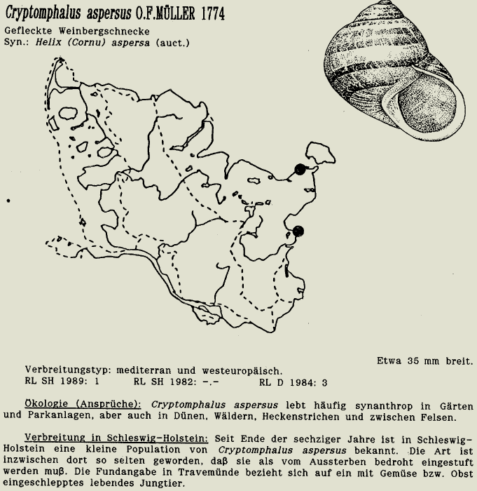 map c LANU-Schleswig-Holstein       drawing  c Projektgruppe Molluskenkartierung 