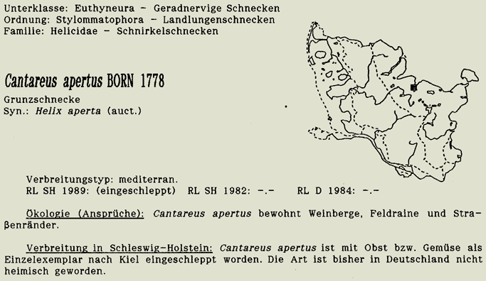 map c LANU-Schleswig-Holstein       drawing  c Projektgruppe Molluskenkartierung 