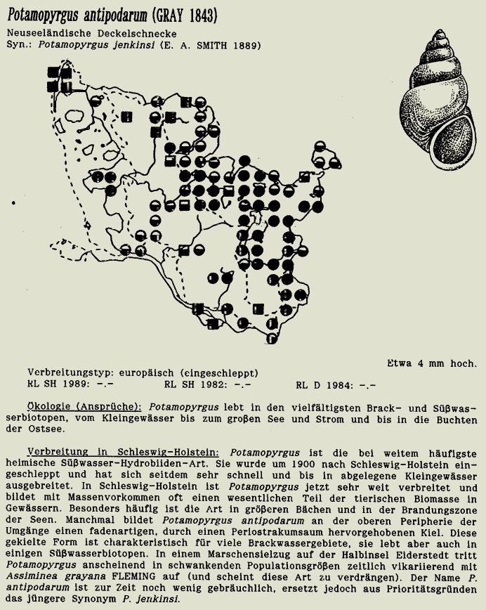 map c LANU-Schleswig-Holstein       drawing  c Projektgruppe Molluskenkartierung 