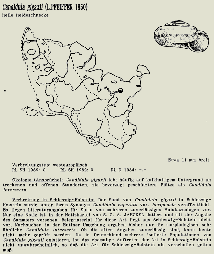 map c LANU-Schleswig-Holstein       drawing  c Projektgruppe Molluskenkartierung 