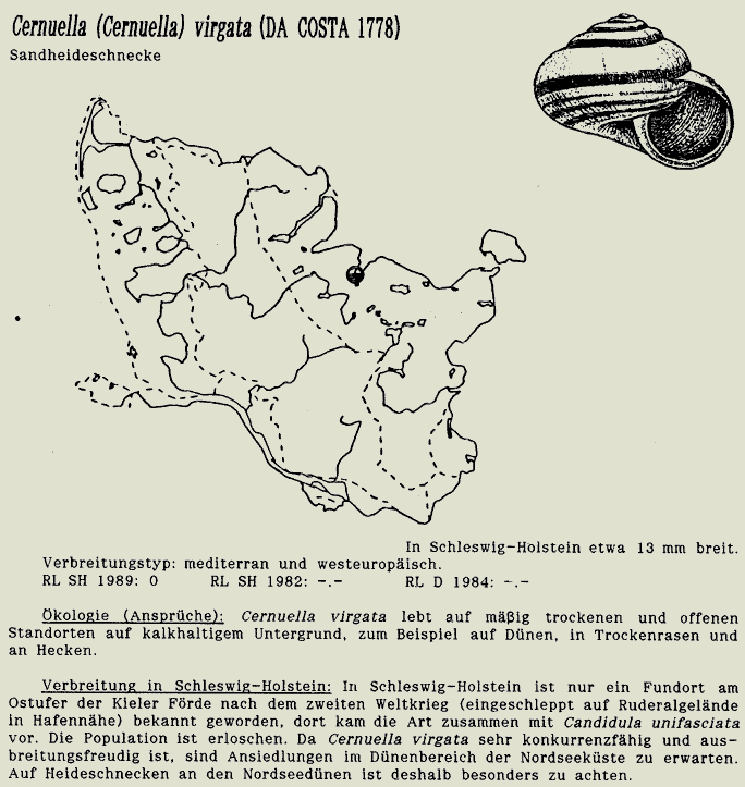 map c LANU-Schleswig-Holstein       drawing  c Projektgruppe Molluskenkartierung 