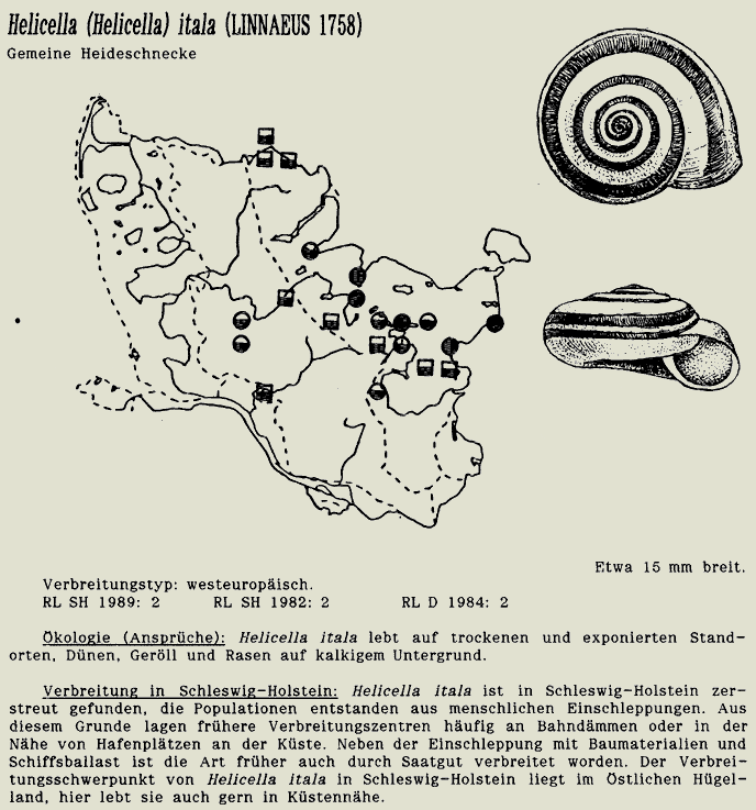 map c LANU-Schleswig-Holstein       drawing  c Projektgruppe Molluskenkartierung 