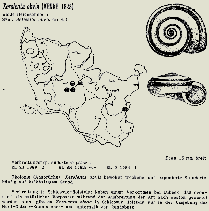 map c LANU-Schleswig-Holstein       drawing  c Projektgruppe Molluskenkartierung 