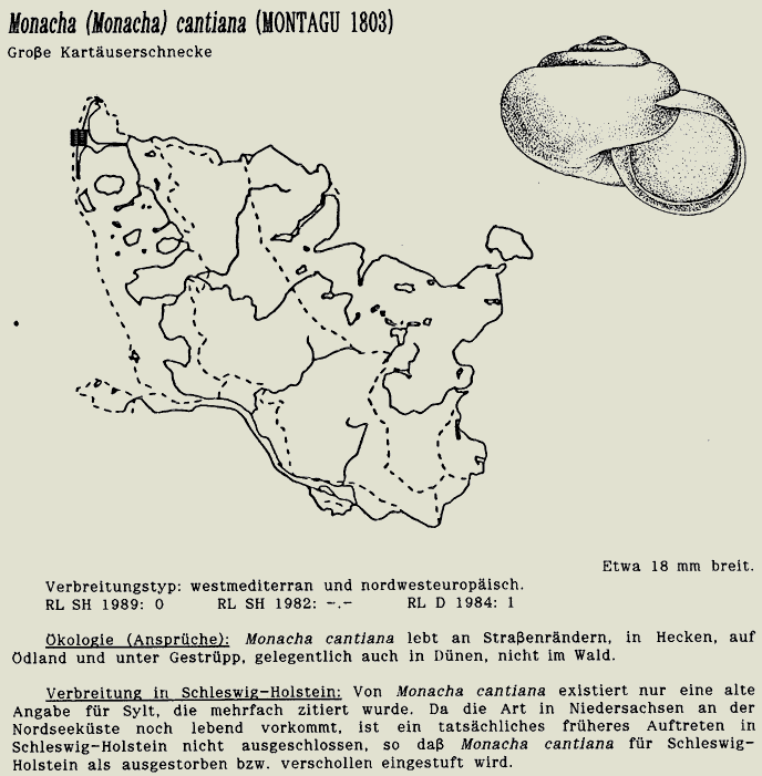 map c LANU-Schleswig-Holstein       drawing  c Projektgruppe Molluskenkartierung 