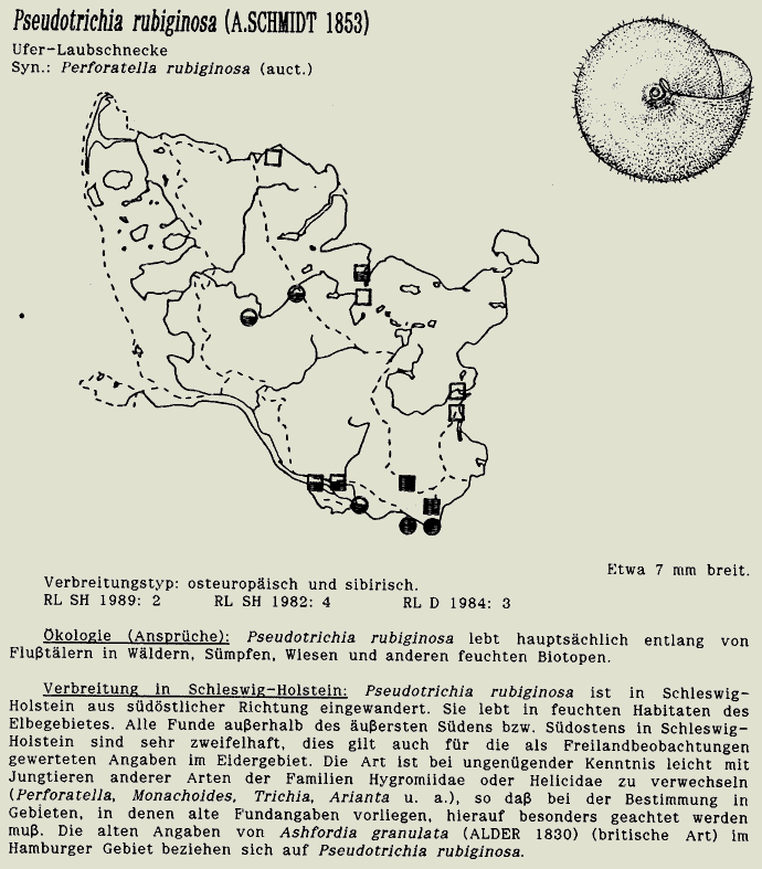 map c LANU-Schleswig-Holstein       drawing  c Projektgruppe Molluskenkartierung 