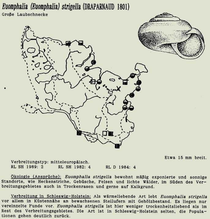 map c LANU-Schleswig-Holstein       drawing  c Projektgruppe Molluskenkartierung 