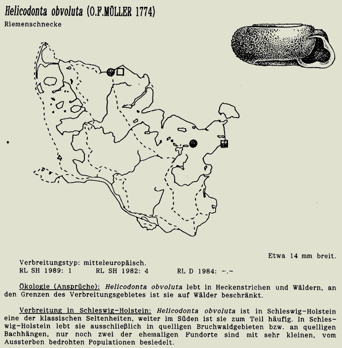 map c LANU-Schleswig-Holstein       drawing  c Projektgruppe Molluskenkartierung 