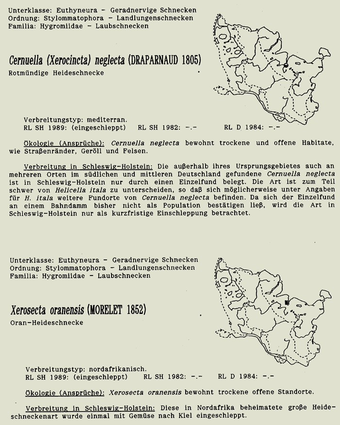 map c LANU-Schleswig-Holstein       drawing  c Projektgruppe Molluskenkartierung 