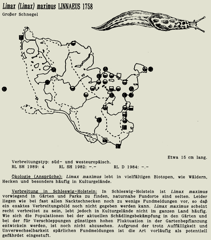 map c LANU-Schleswig-Holstein       drawing  c Projektgruppe Molluskenkartierung 