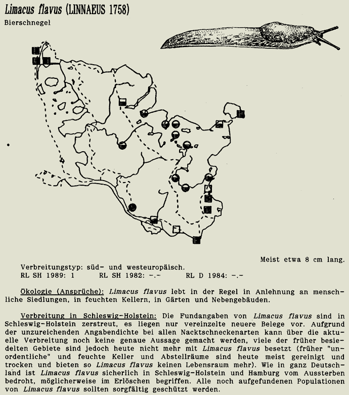 map c LANU-Schleswig-Holstein       drawing  c Projektgruppe Molluskenkartierung 