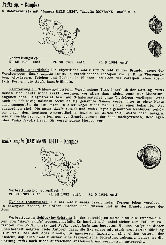 map c LANU-Schleswig-Holstein       drawing  c Projektgruppe Molluskenkartierung 