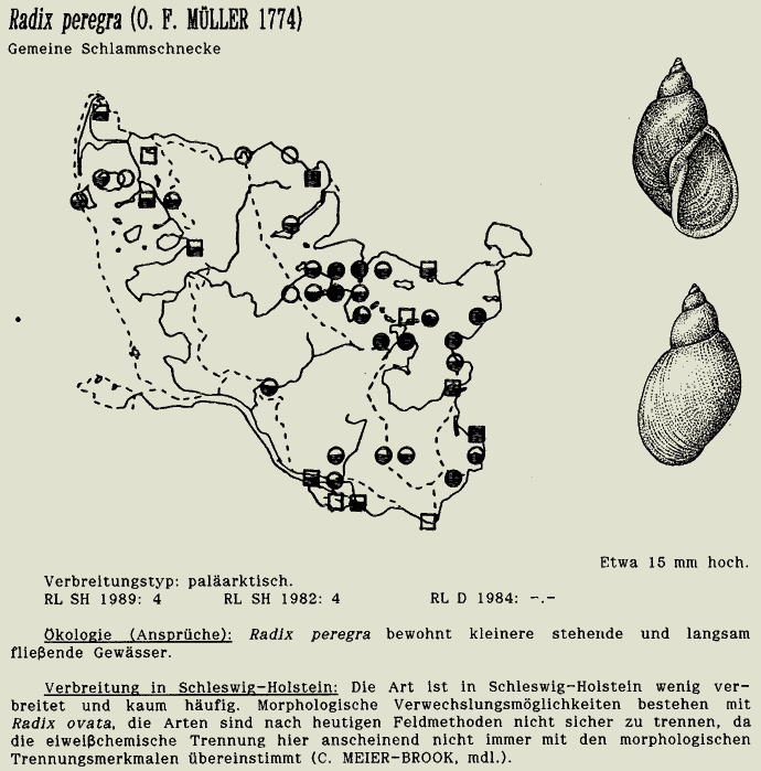 map c LANU-Schleswig-Holstein       drawing  c Projektgruppe Molluskenkartierung 