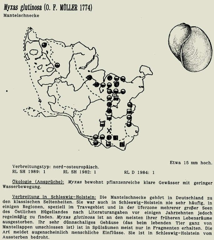 map c LANU-Schleswig-Holstein       drawing  c Projektgruppe Molluskenkartierung 