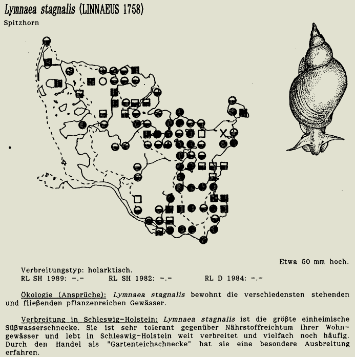 map c LANU-Schleswig-Holstein       drawing  c Projektgruppe Molluskenkartierung 