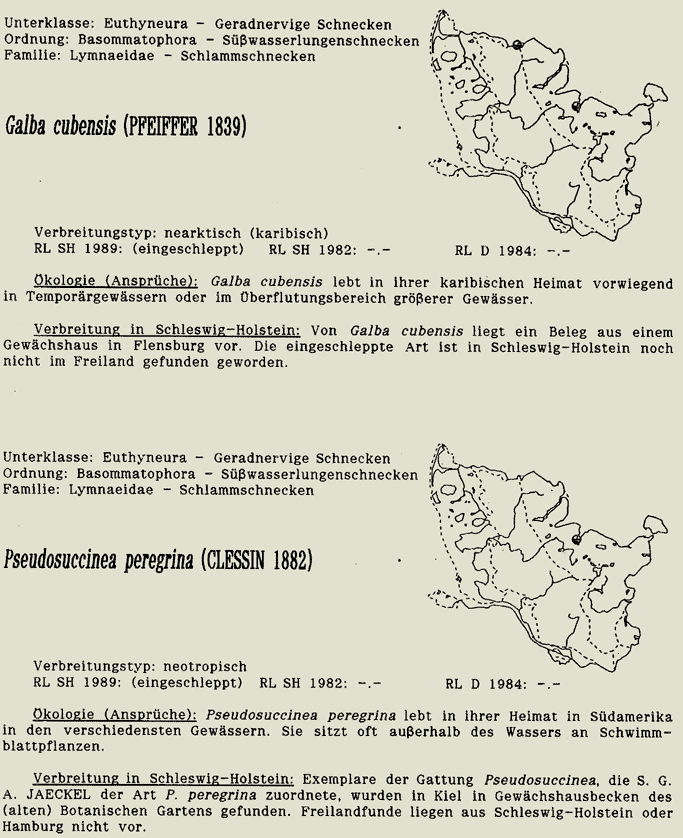 map c LANU-Schleswig-Holstein       drawing  c Projektgruppe Molluskenkartierung 