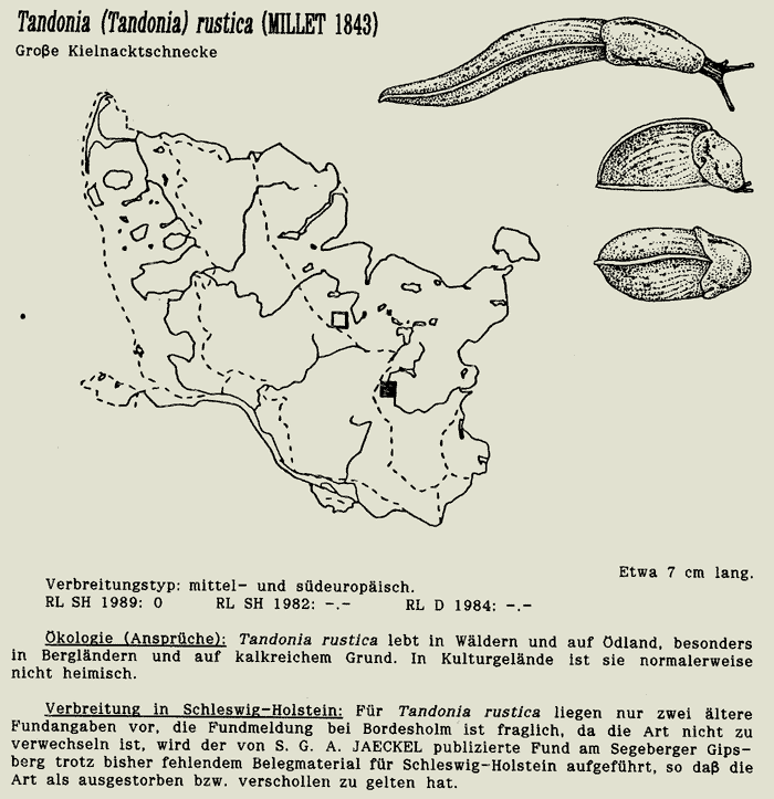 map c LANU-Schleswig-Holstein       drawing  c Projektgruppe Molluskenkartierung 