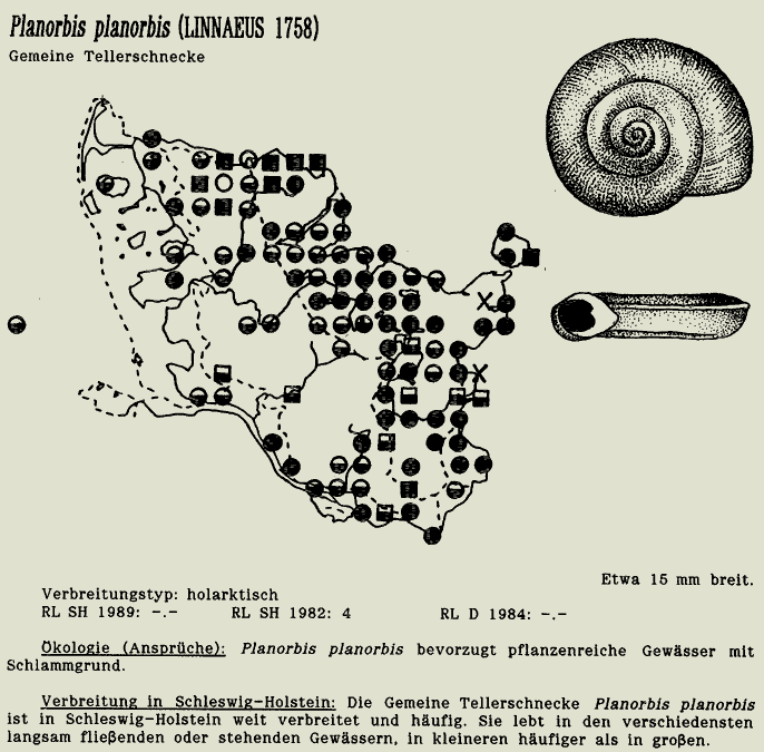 map c LANU-Schleswig-Holstein       drawing  c Projektgruppe Molluskenkartierung 