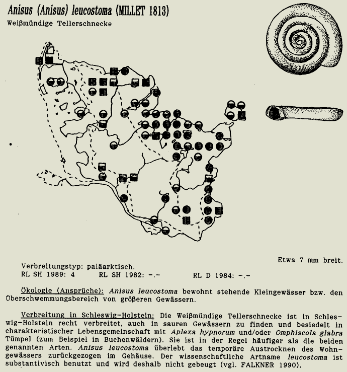 map c LANU-Schleswig-Holstein       drawing  c Projektgruppe Molluskenkartierung 