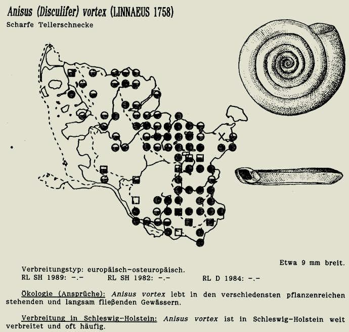 map c LANU-Schleswig-Holstein       drawing  c Projektgruppe Molluskenkartierung 