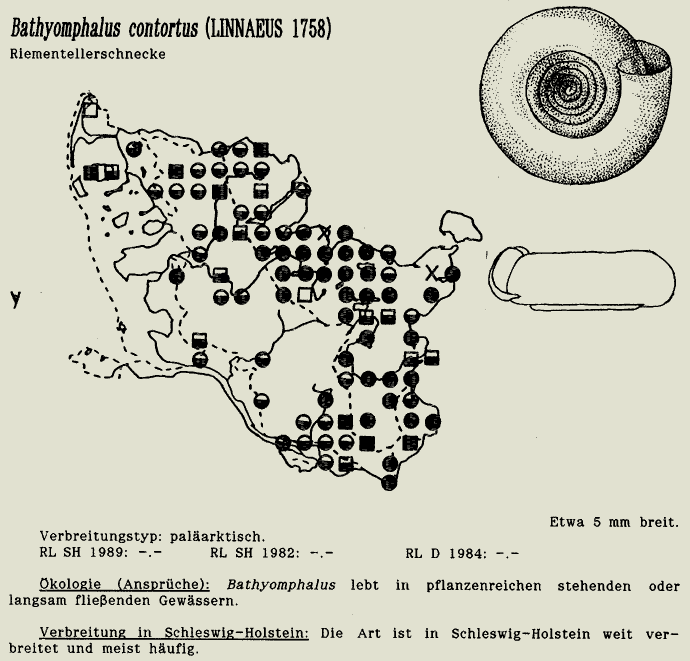 map c LANU-Schleswig-Holstein       drawing  c Projektgruppe Molluskenkartierung 