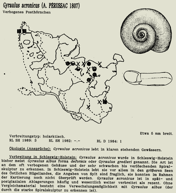 map c LANU-Schleswig-Holstein       drawing  c Projektgruppe Molluskenkartierung 