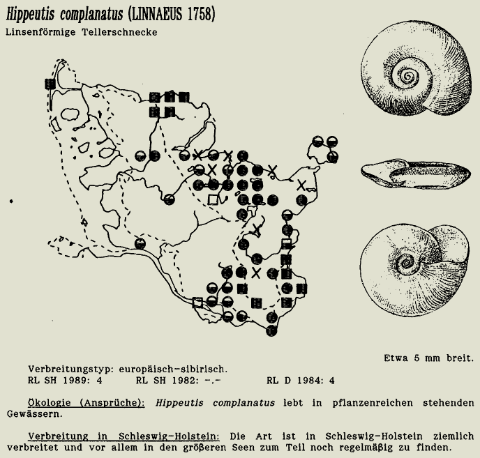 map c LANU-Schleswig-Holstein       drawing  c Projektgruppe Molluskenkartierung 