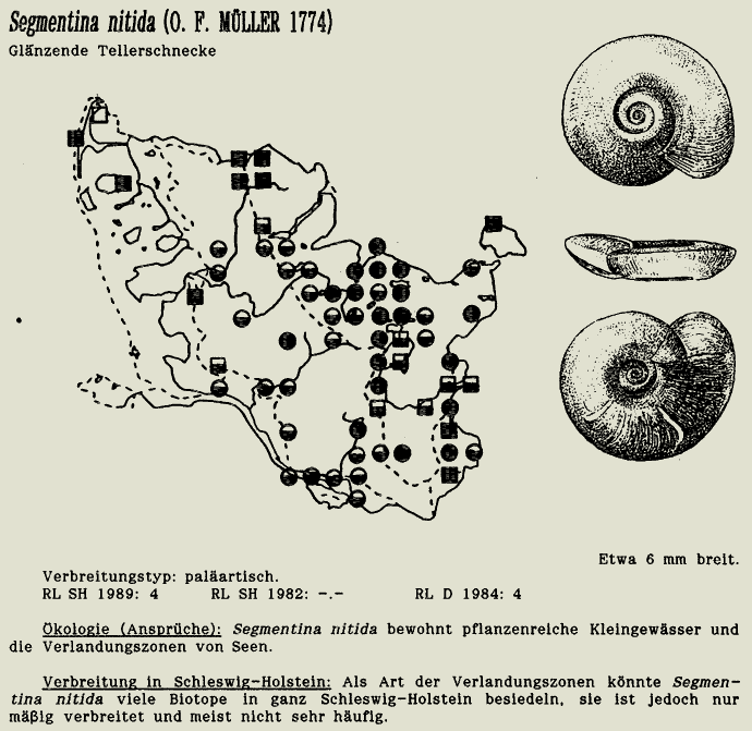 map c LANU-Schleswig-Holstein       drawing  c Projektgruppe Molluskenkartierung 