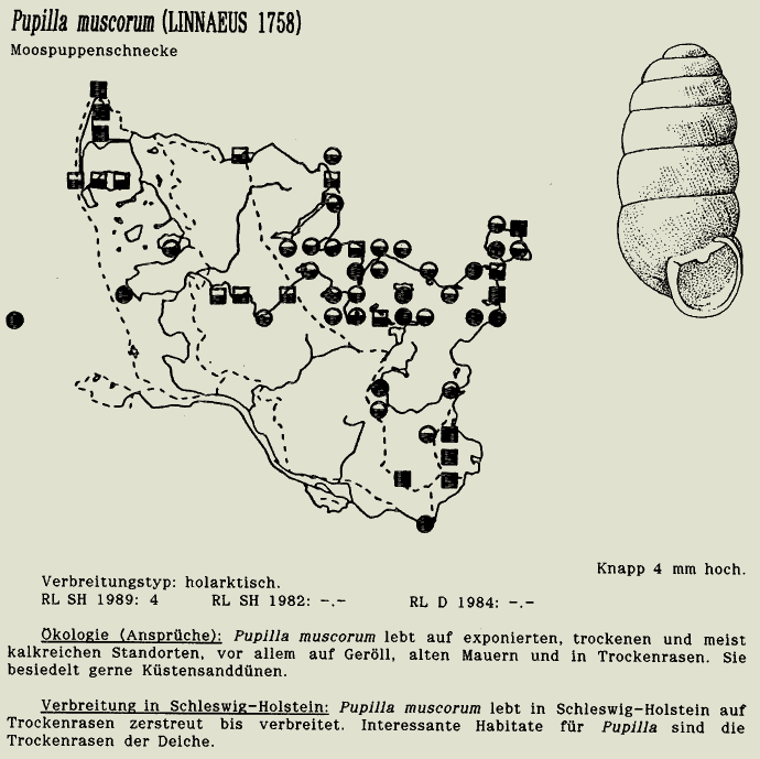 map c LANU-Schleswig-Holstein       drawing  c Projektgruppe Molluskenkartierung 