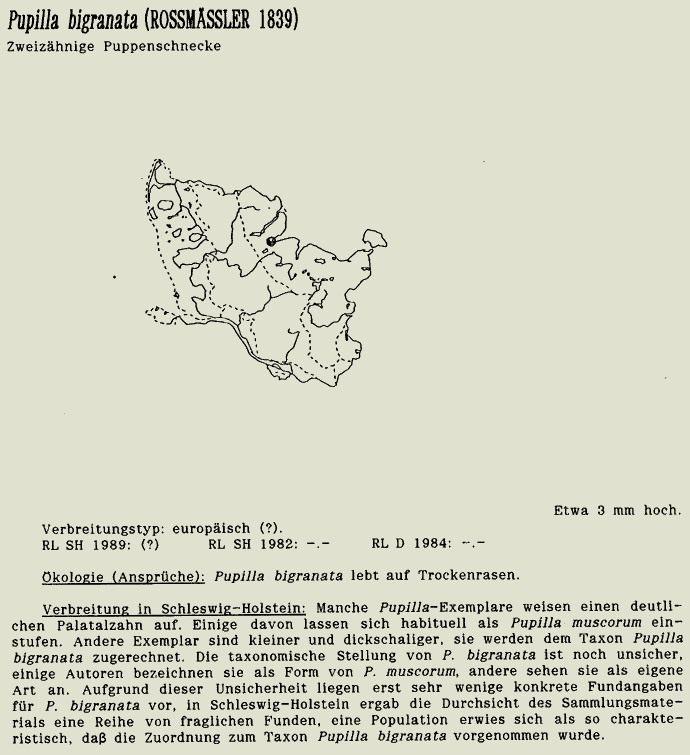 map c LANU-Schleswig-Holstein       drawing  c Projektgruppe Molluskenkartierung 