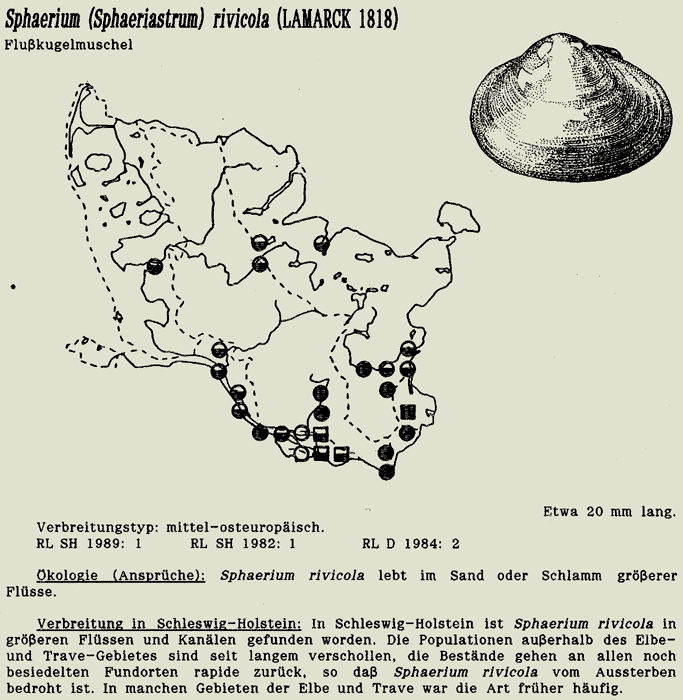 map c LANU-Schleswig-Holstein       drawing  c Projektgruppe Molluskenkartierung 