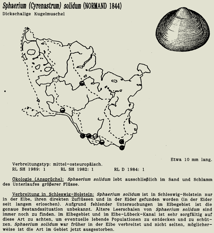 map c LANU-Schleswig-Holstein       drawing  c Projektgruppe Molluskenkartierung 